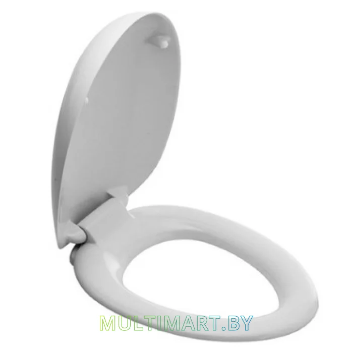 Сиденье для унитаза Laufen Alessi One 8929710000001